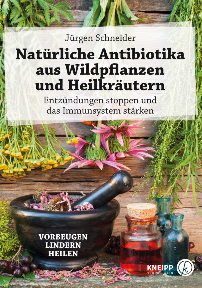 9783708807133 - Natürliche Antibiotika aus Wildpflanzen und Heilkräutern