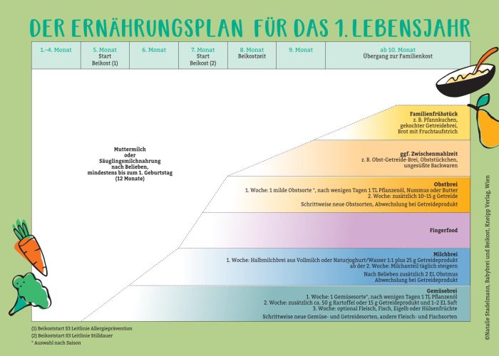 Ernährungsplan für das 1. Lebensjahr